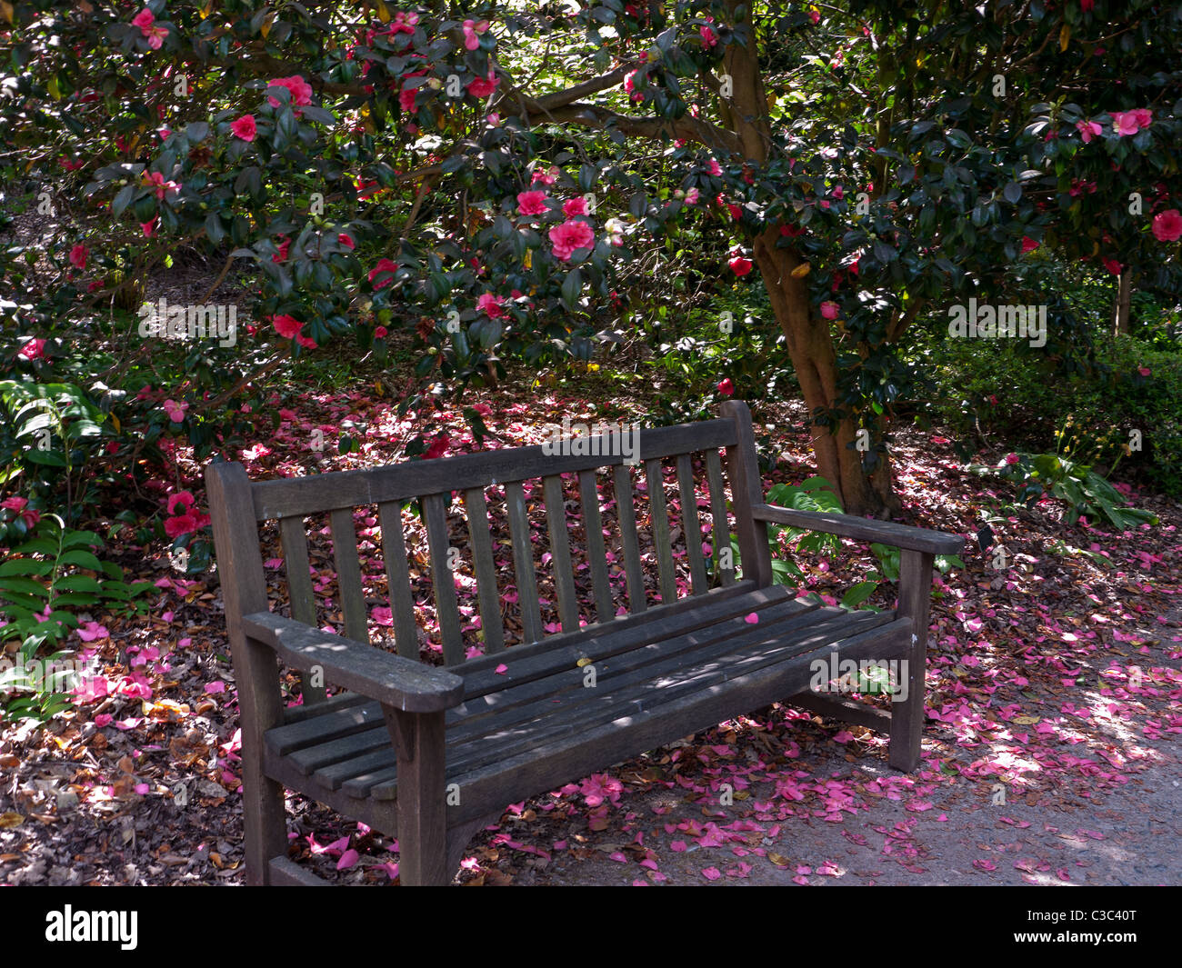 A bench in the Royal Horticultural Society gardens at Wisley, UK Stock Photo