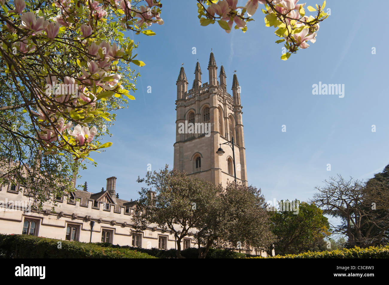 Magdalen College as seen from the south side of the High Street, adjacent to the Botanic Gardens, Oxford, England, UK Stock Photo