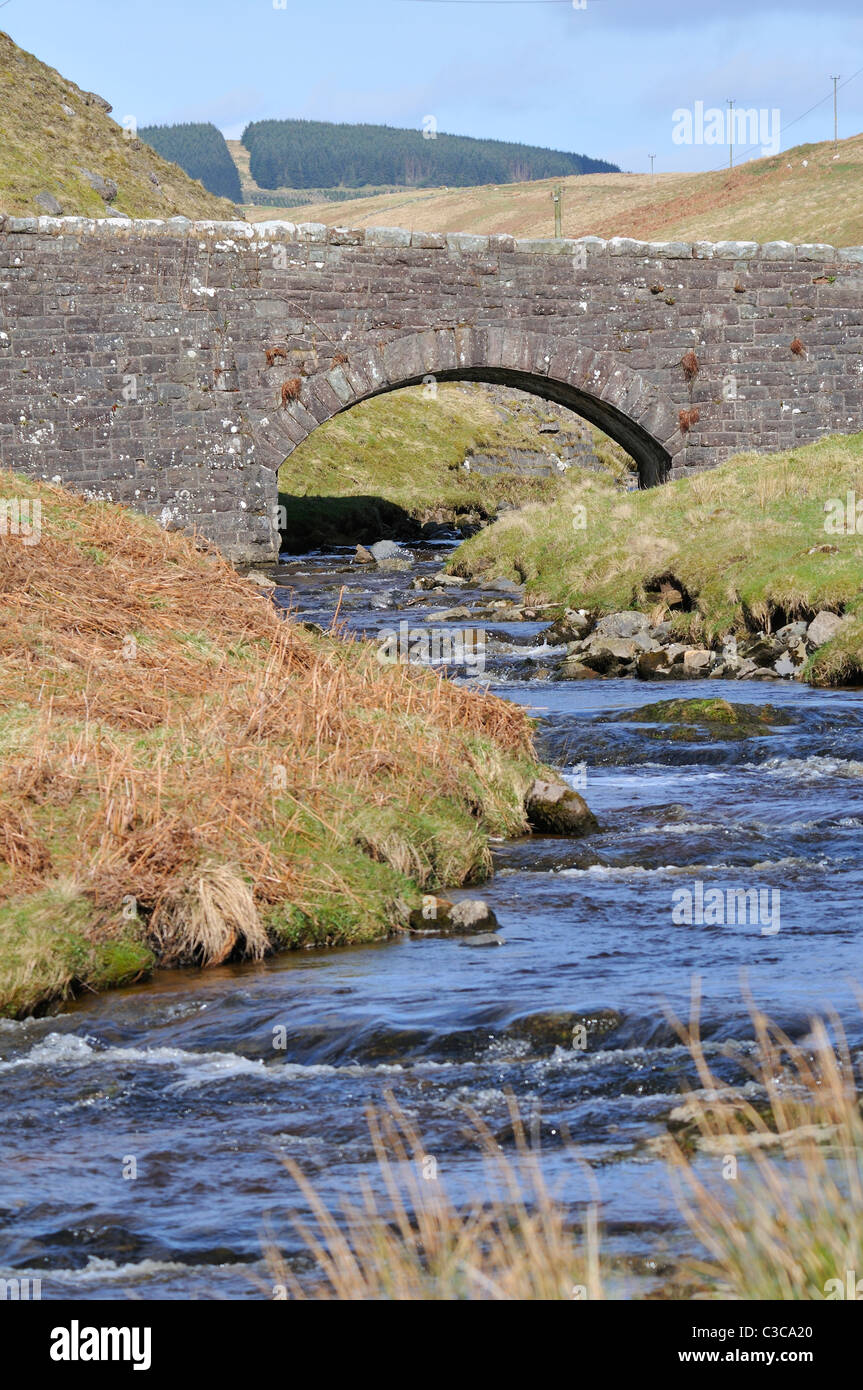Fast running brook under a stone arched bridge with fire track in Keilder Forest behind at Slaughtree, Scottish border  . Stock Photo