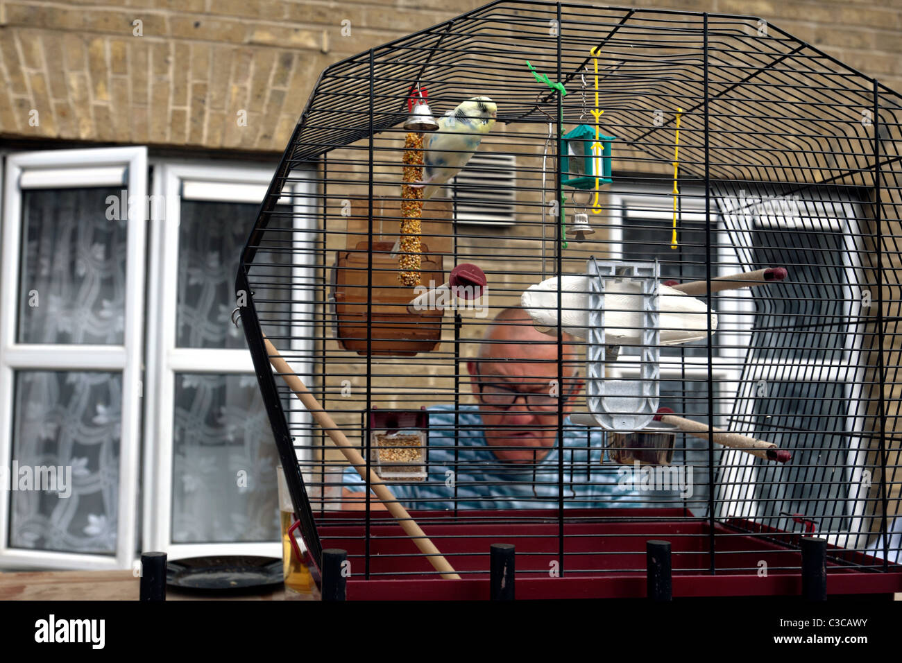 man with pet bird in london Stock Photo