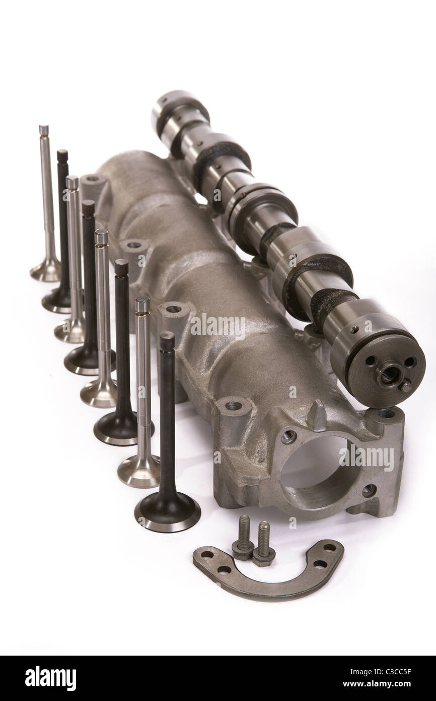 New details for repair of the engine. Camshaft of the engine in