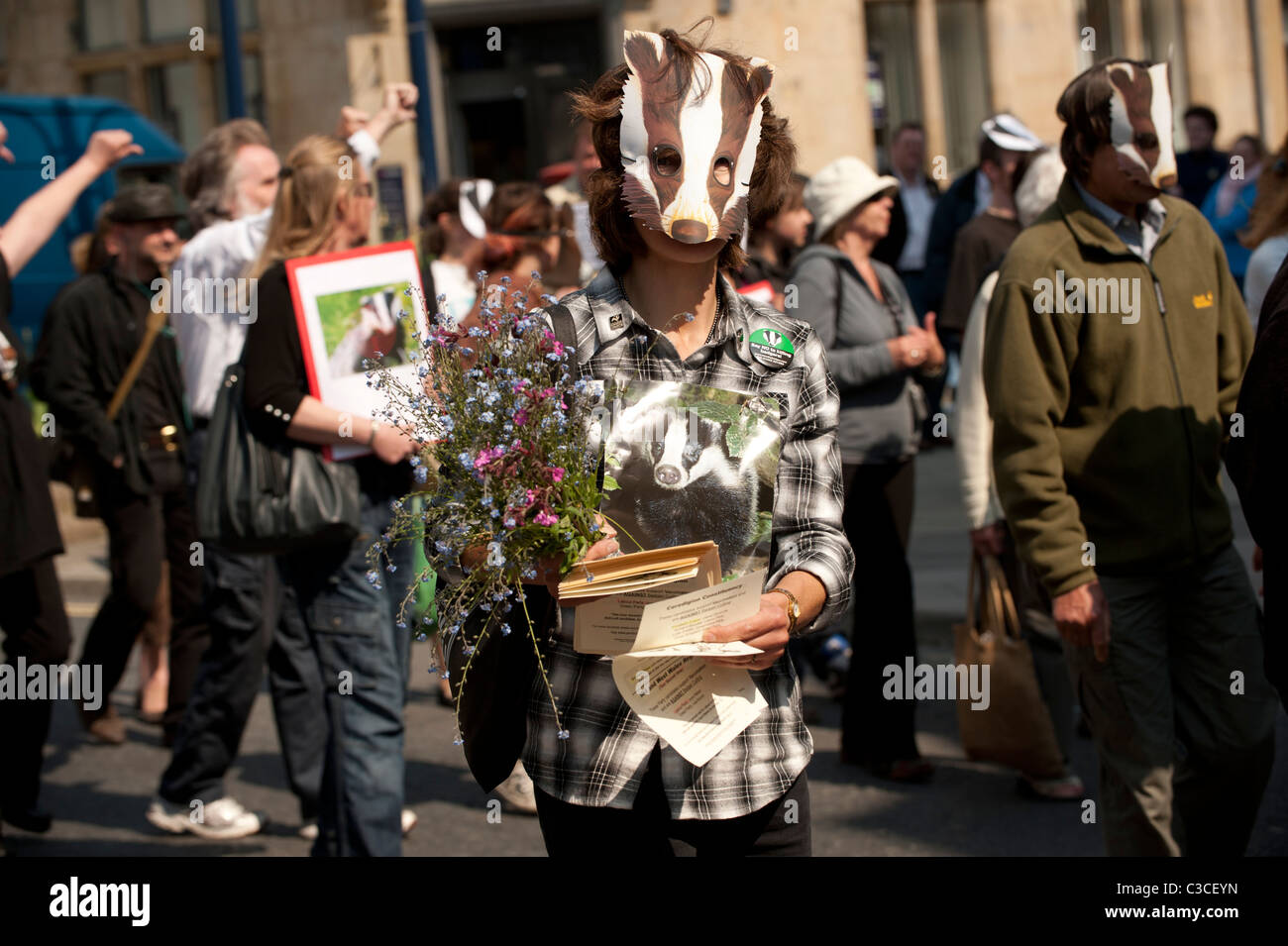 Demonstrators protesting about the plans to cull badgers in wales as a means of controlling bovine TB, Aberystwyth Wales UK Stock Photo