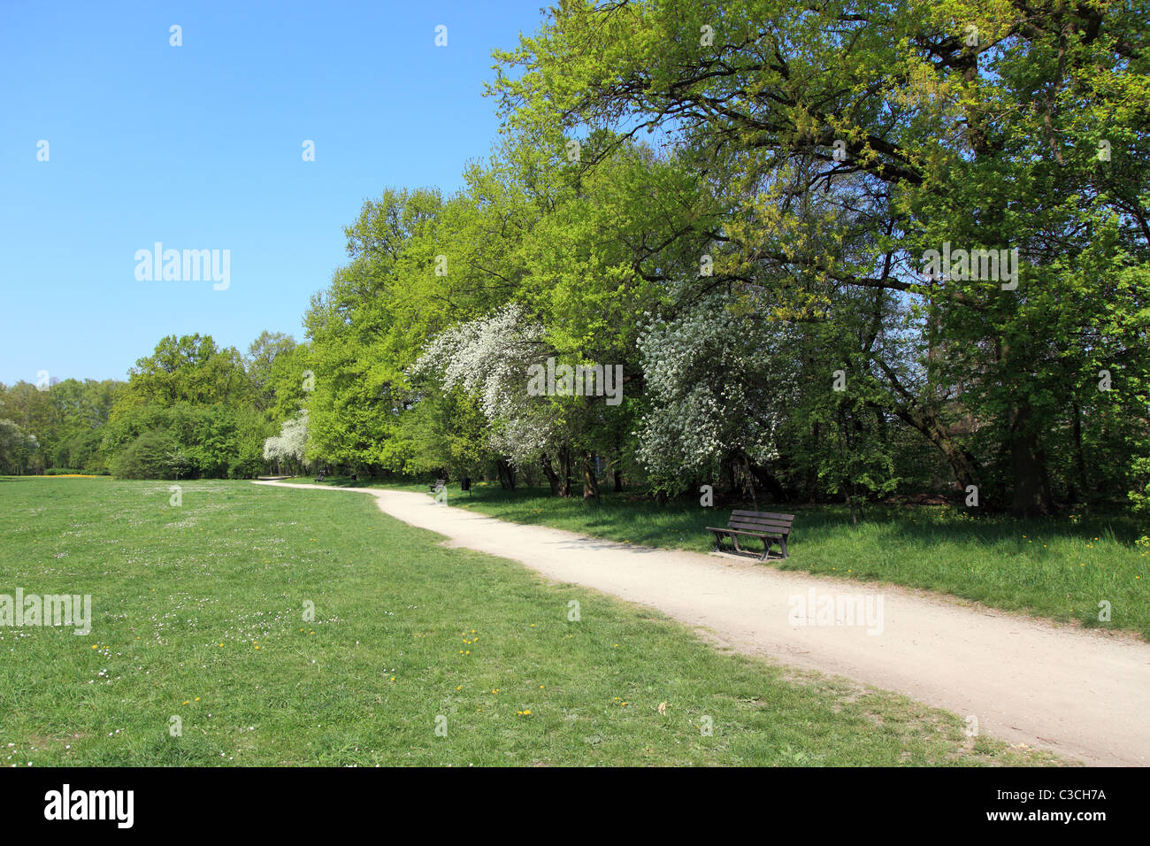Park tree pathway hi-res stock photography and images - Alamy
