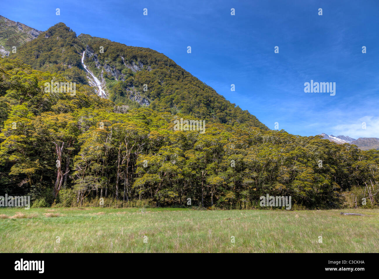 Waterfall in the mountains of New Zealand Stock Photo - Alamy
