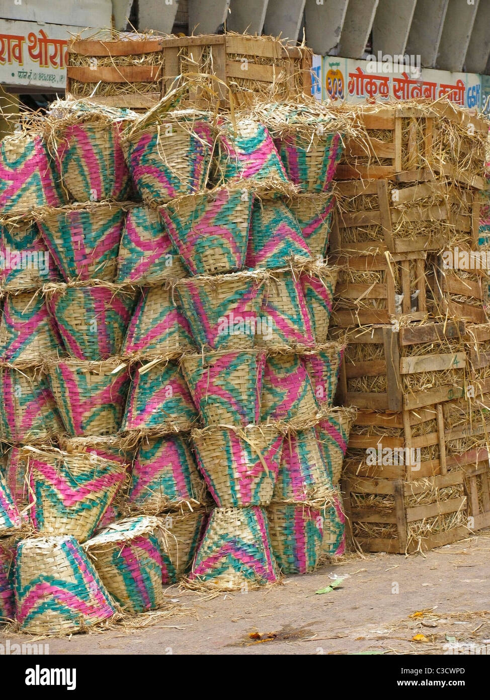 Alphonso mangoes, Mangifera indica L., Anacardiaceae arranged in Baskets for packing Stock Photo