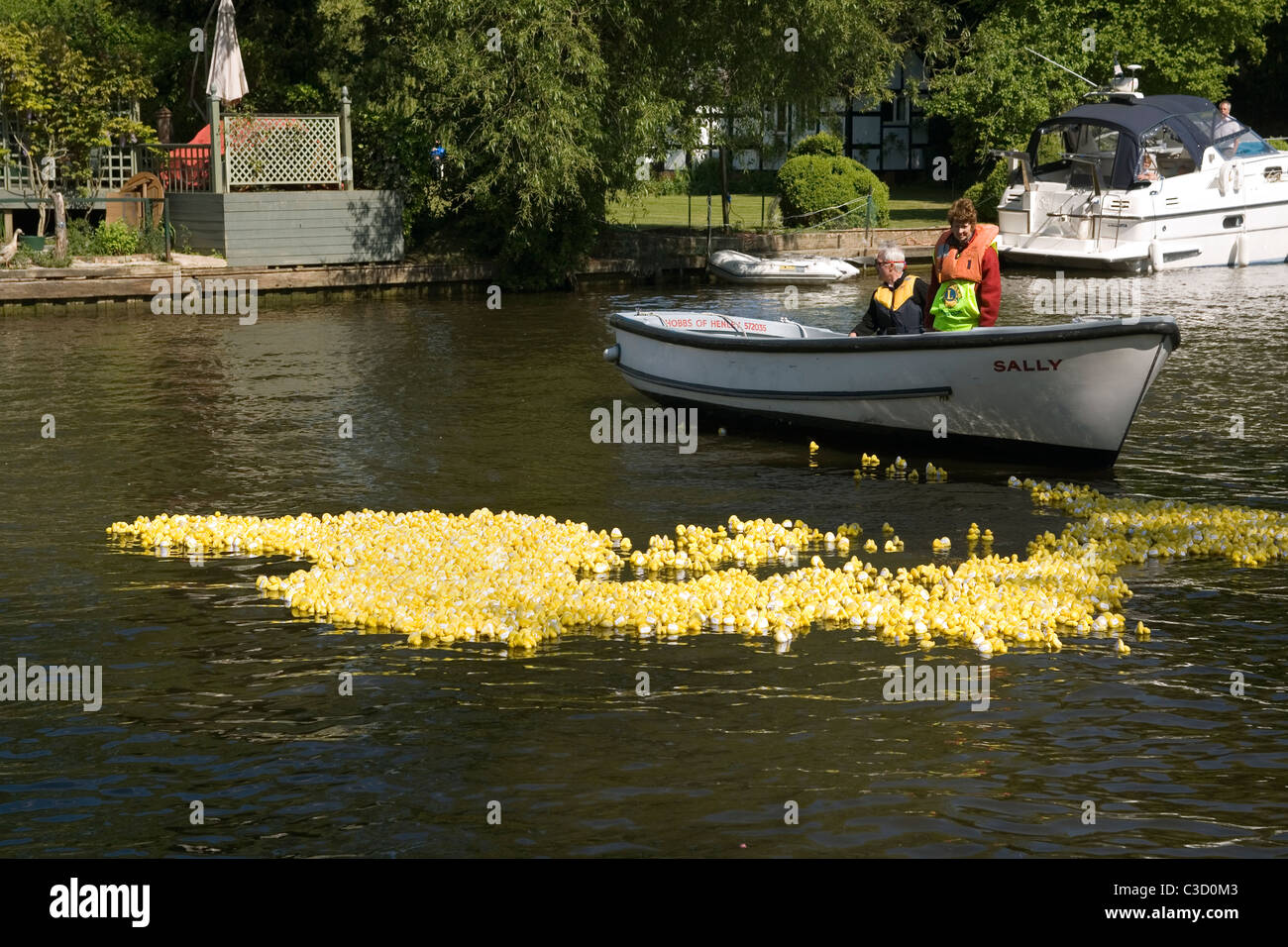 England Oxfordshire Henley, Duck derby charity race Stock Photo