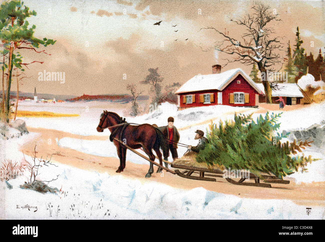 Delivering the Christmas Tree by Horsedrawn Sledge in Sweden Stock Photo