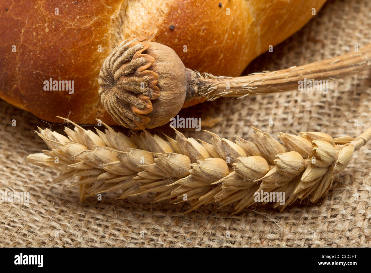 Dried cereal ear and poppy stem with rustic bread concept. Stock Photo