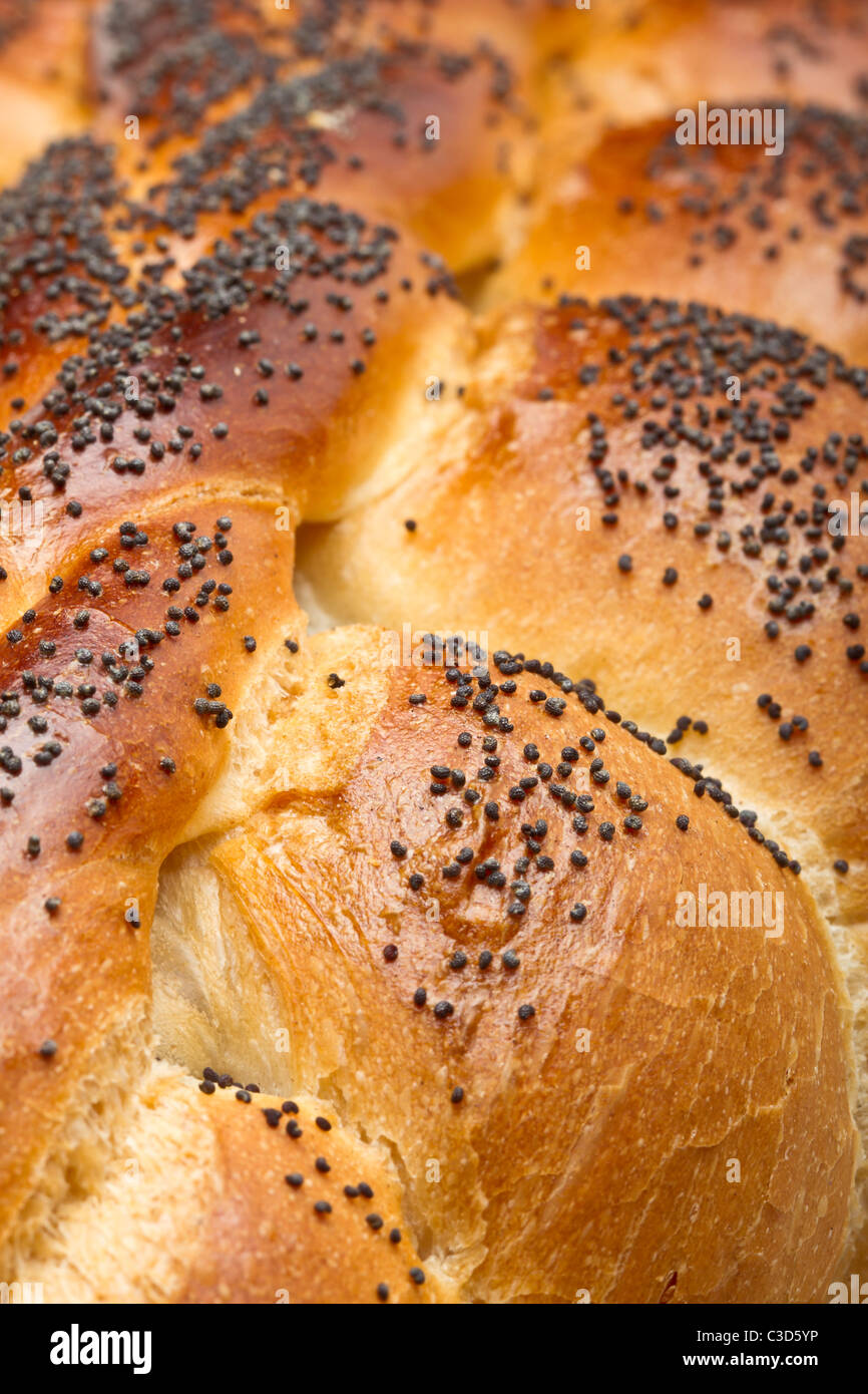 Close up of crusty rustic poppy seeded bread loaf. Stock Photo