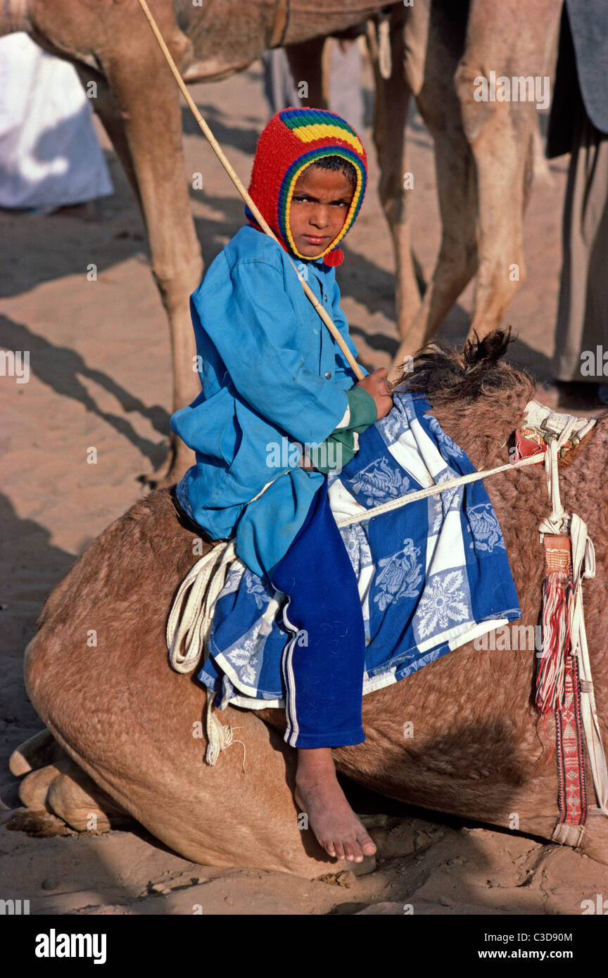 Racing Camel Jockey, Dubai, United Arab Emirates, UAE Stock Photo Alamy