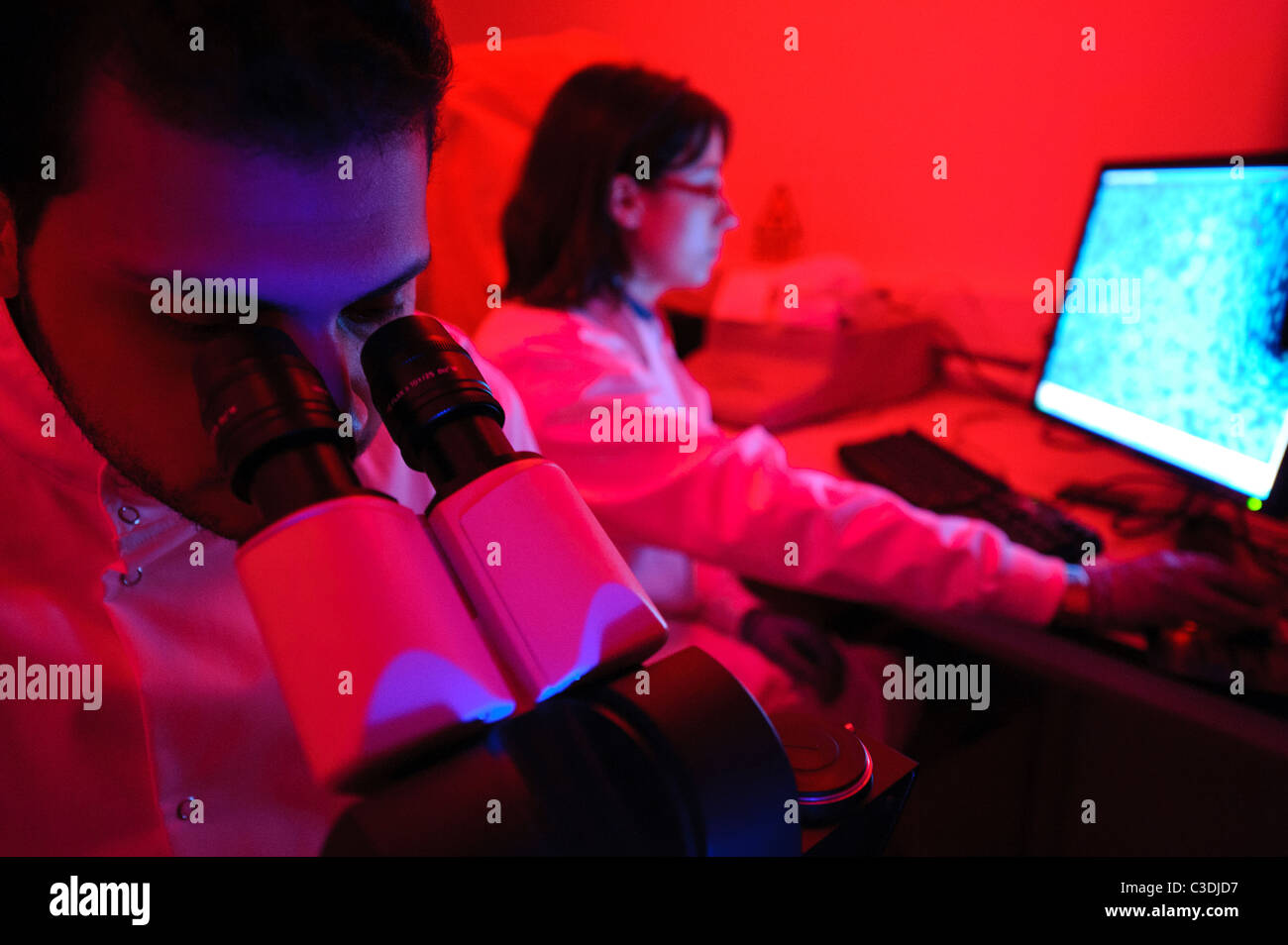 male and female scientists in science darkroom with red lighting looking down microscope with computer screen in background Stock Photo