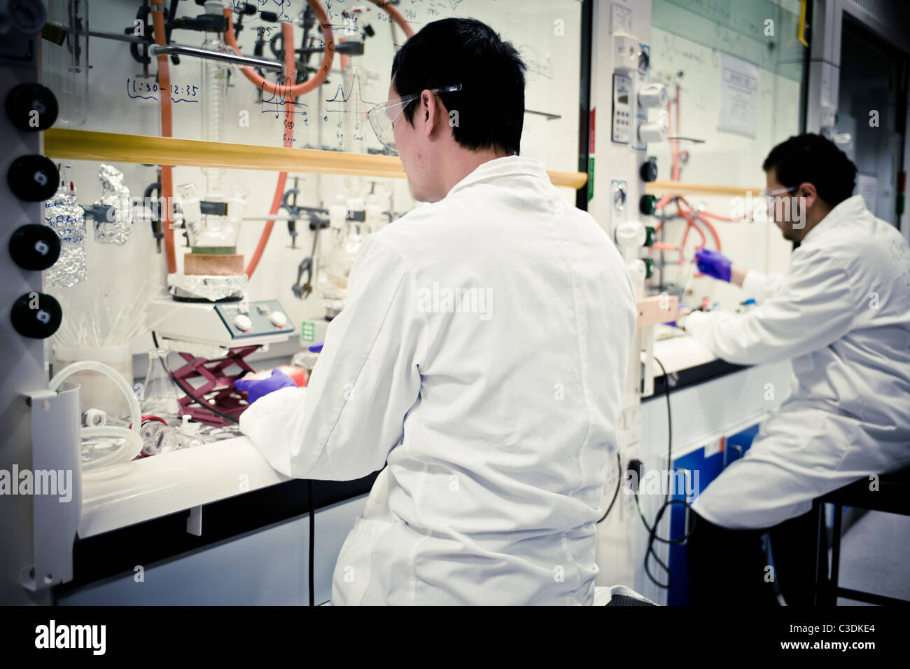 male scientists wearing white lab coats and purple gloves in lab sitting down working at fume cupboard Stock Photo