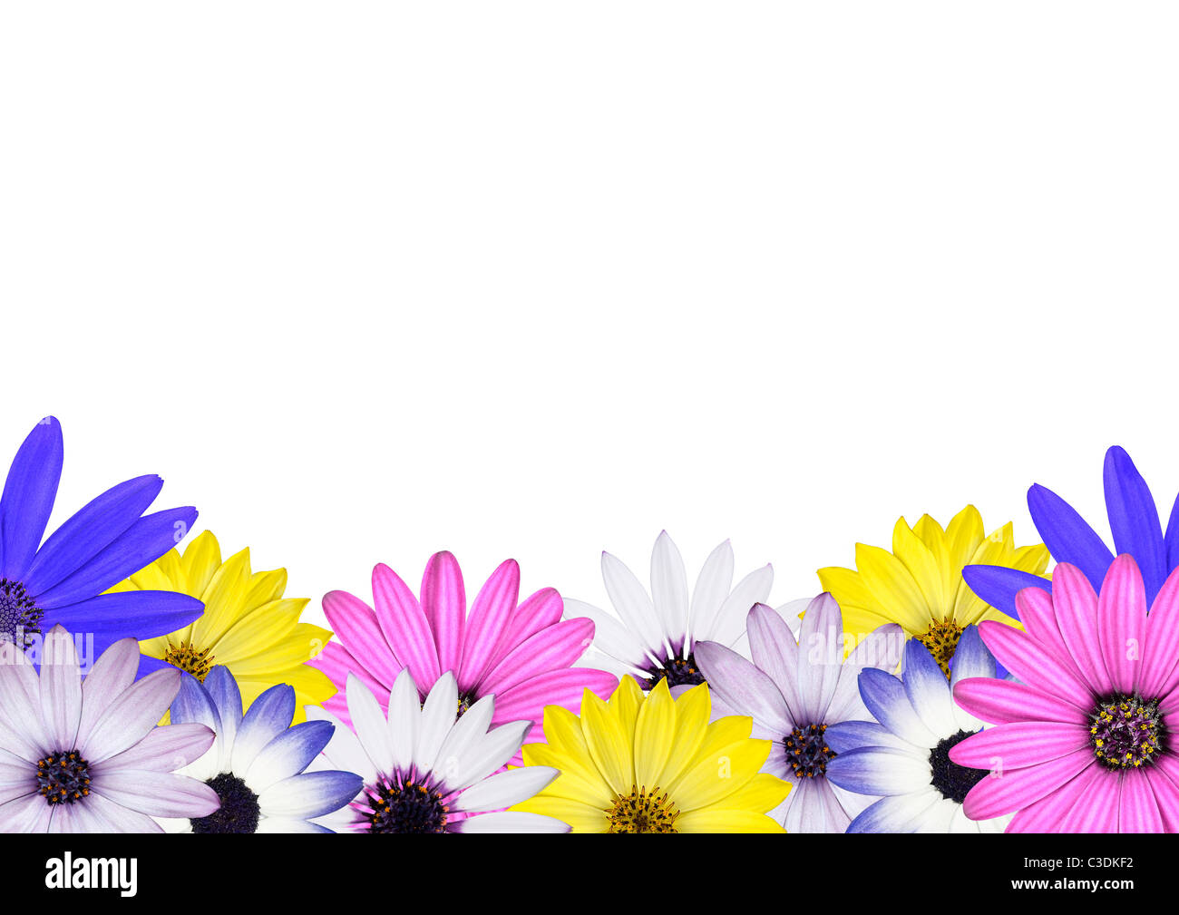 Various light colored flowers hi-res stock photography and images - Alamy