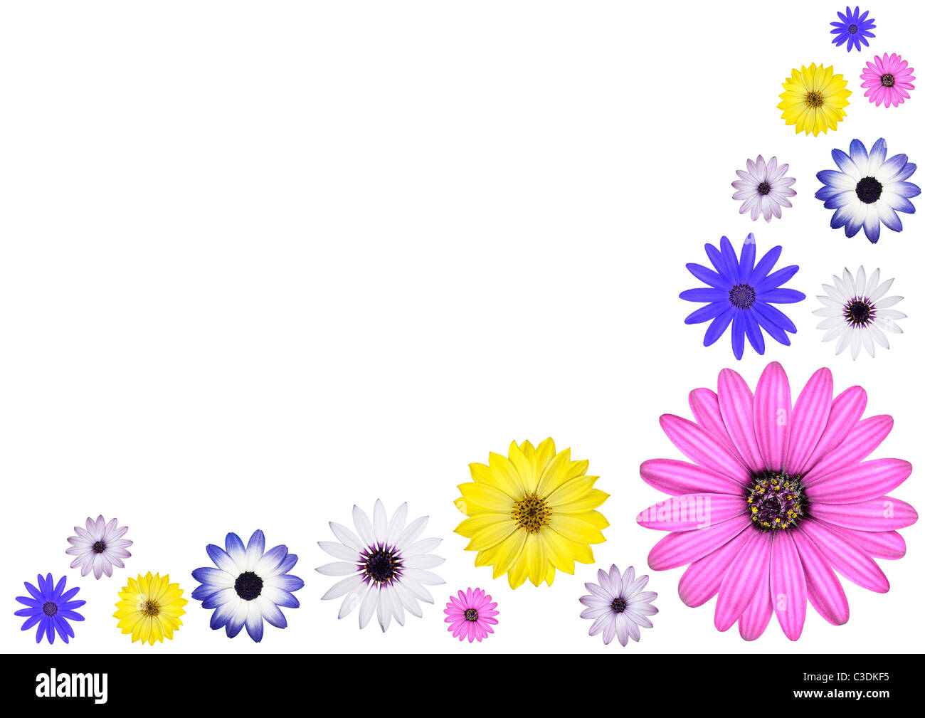 Various light colored flowers hi-res stock photography and images - Alamy