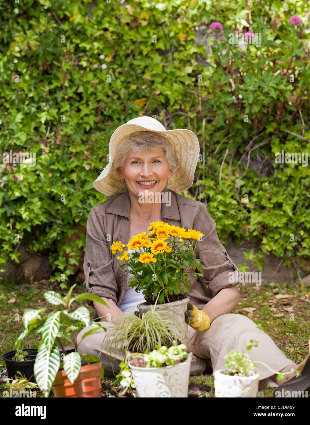 Retired woman working in the garden Stock Photo - Alamy