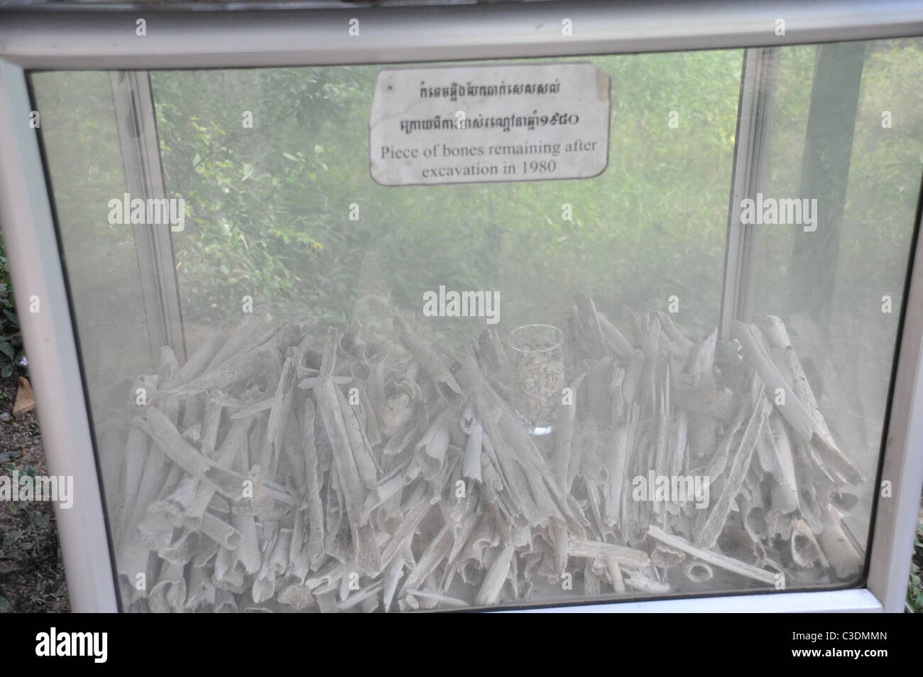 The killing Fields Stock Photo Alamy