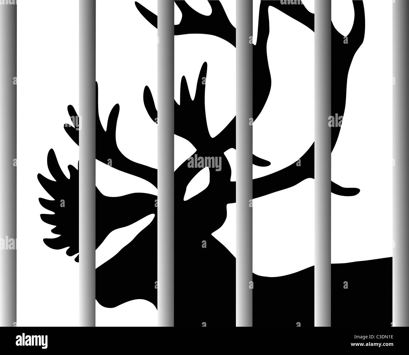 Caribou in zoo Stock Photo Alamy