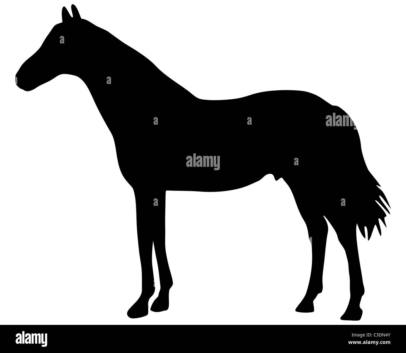 Horse silhouette Stock Photo