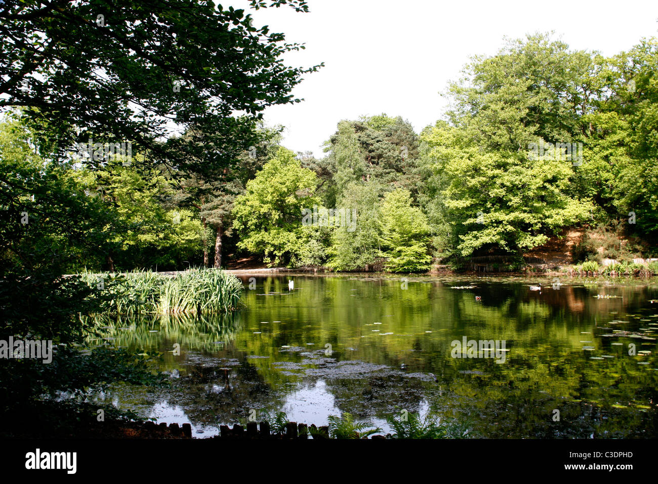 keston lake borough of bromley kent uk 2011 Stock Photo Alamy