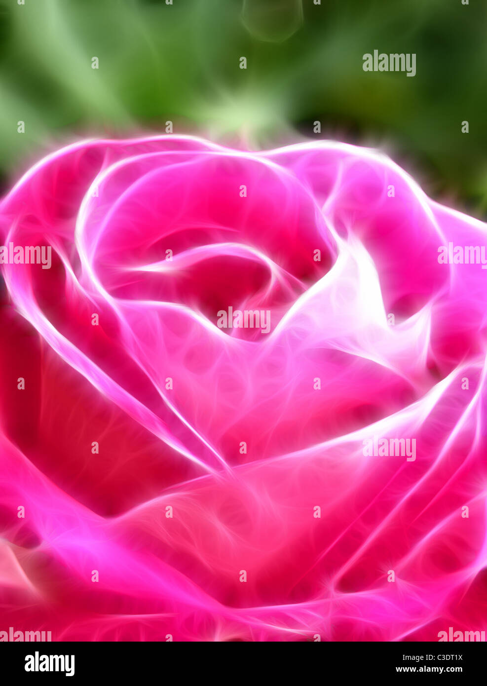 Abstract fractal background of a pink rose Stock Photo