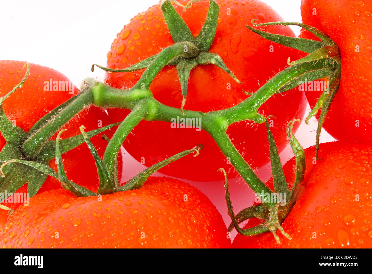 Red tomatoes on the branch isolated on white Stock Photo - Alamy