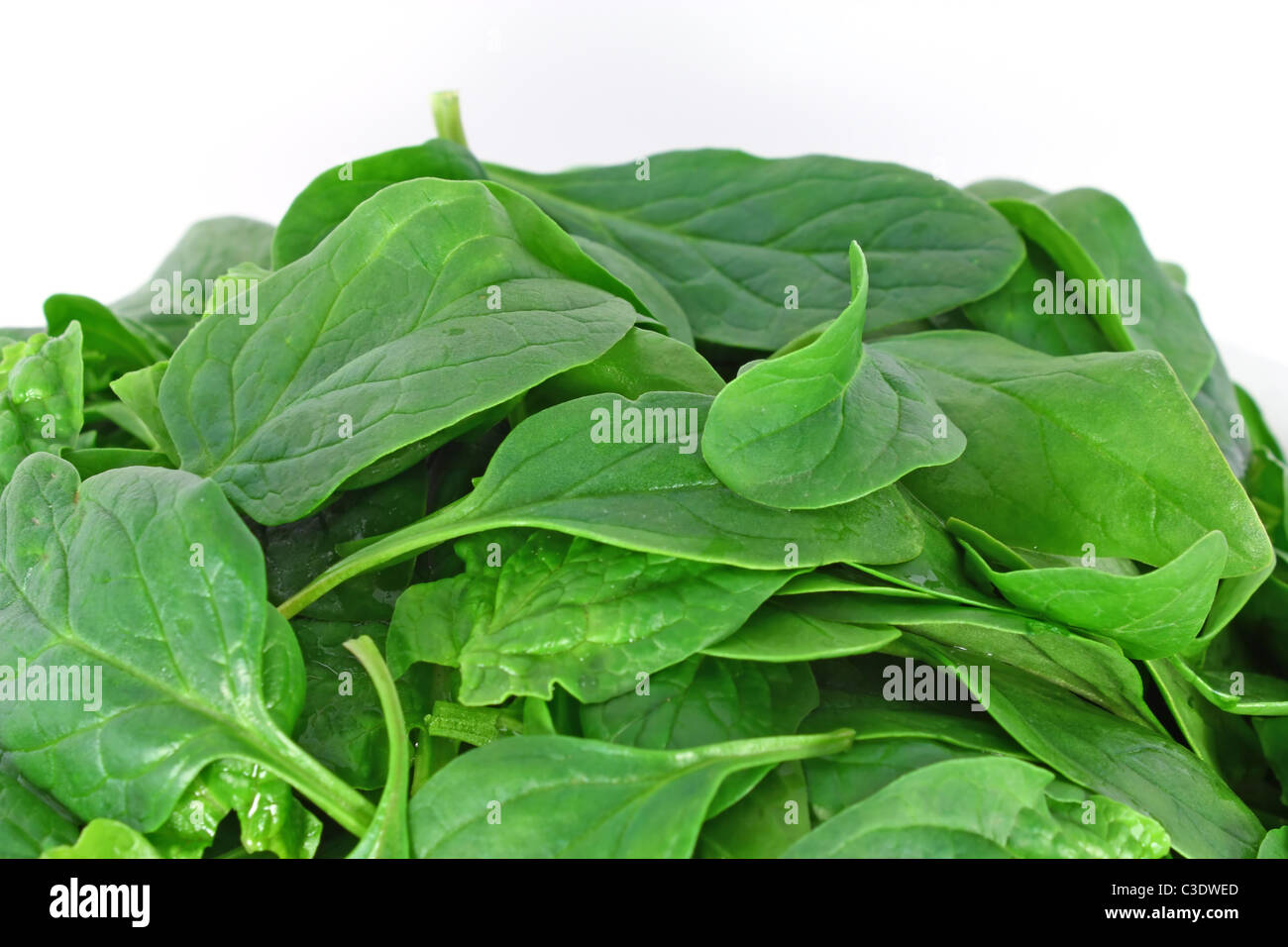 Bunch of spinach isolated on white background Stock Photo - Alamy