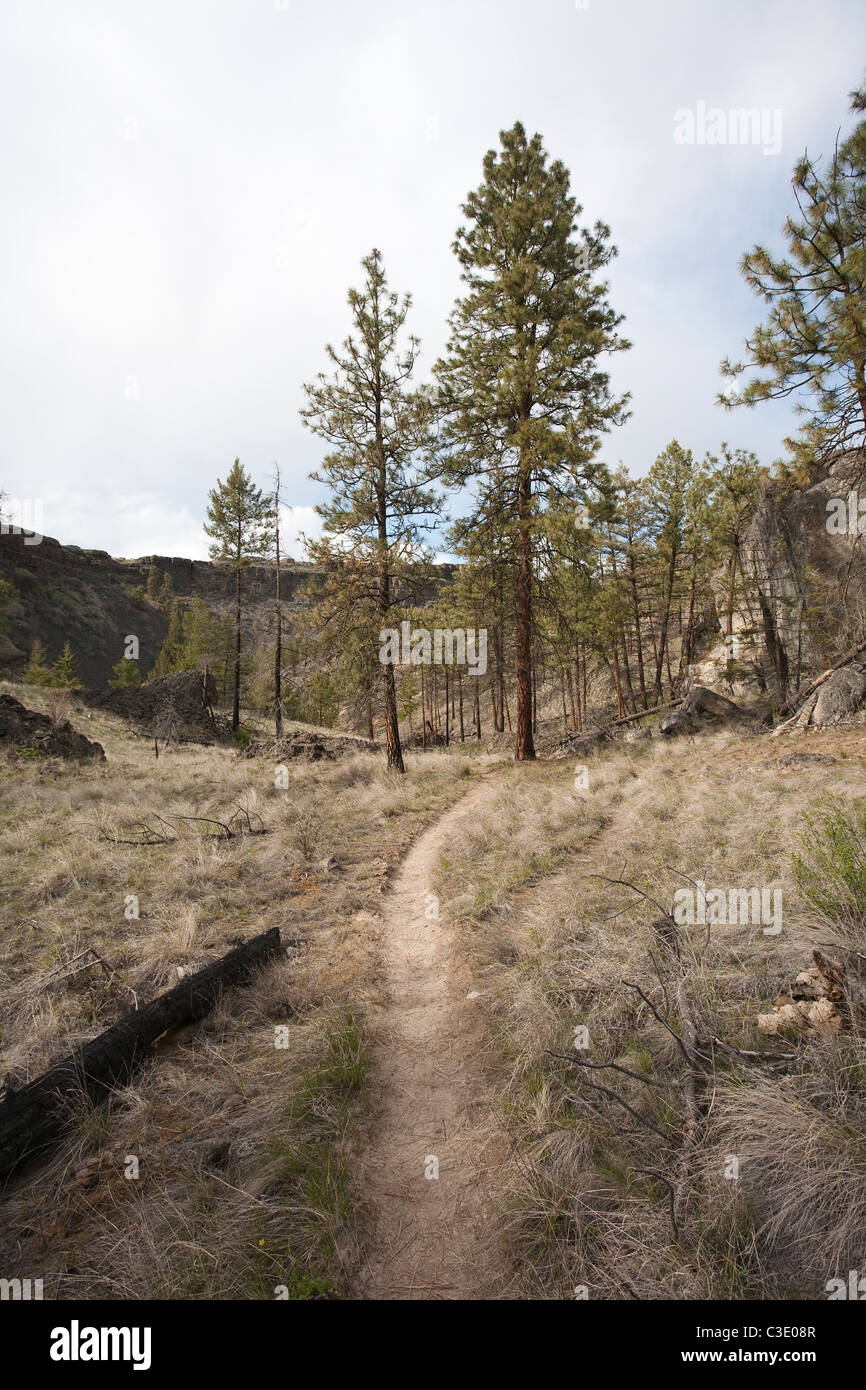 Hiking trail in Northrup Canyon Natural Area, Grant County, Washington Stock Photo