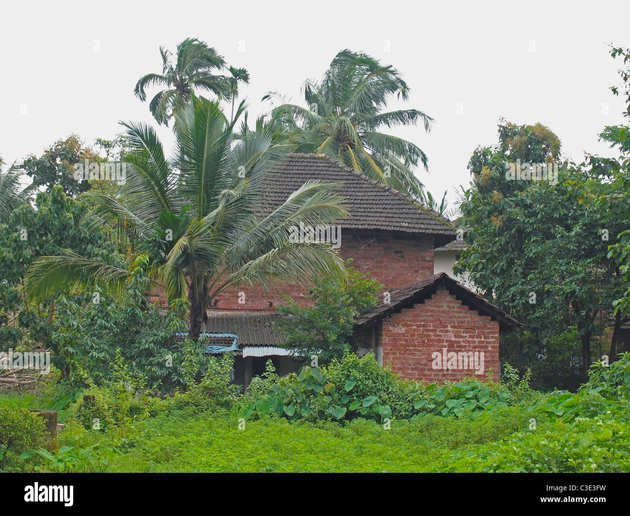 Traditional houses with sloping roof made of manglori tiles Kerala