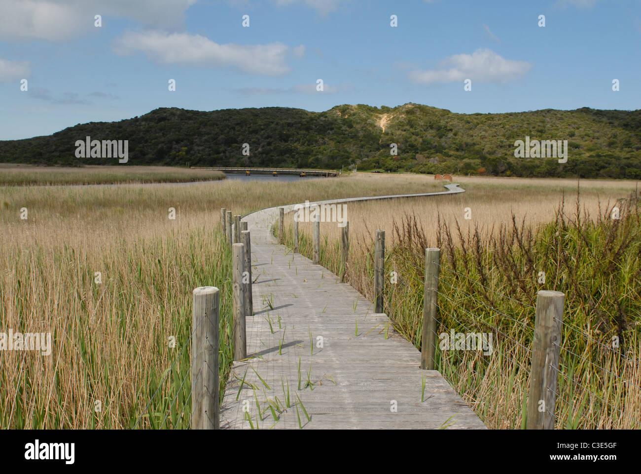 Boardwalk of the Great Ocean Walk near Princetown, Great Ocean Road, Victoria, Australia Stock Photo