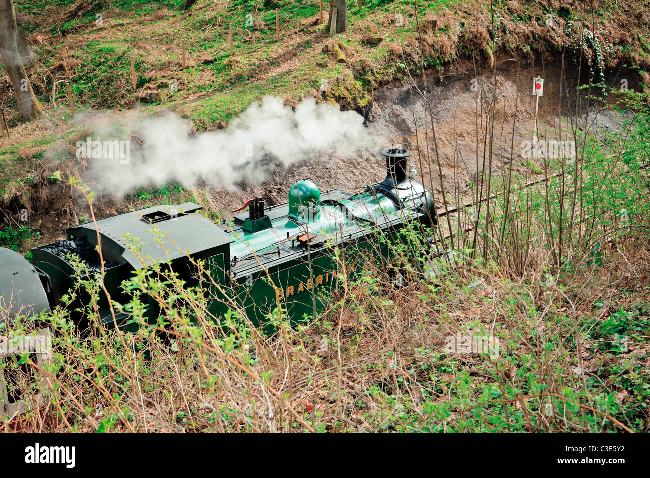 Saddle tank engine Stock Photo