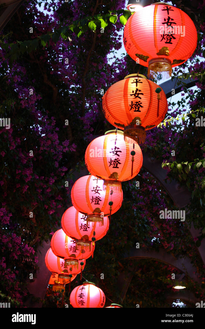Illuminated Chinese lanterns celebrating Buddha's Birthday at South