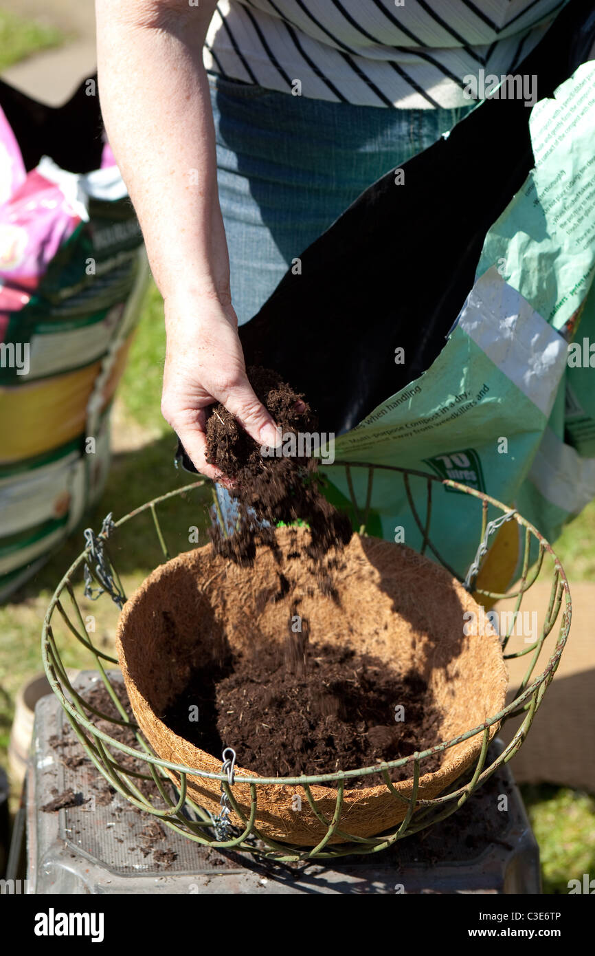 re potting plants from garden centre Britain. Filling hanging basket