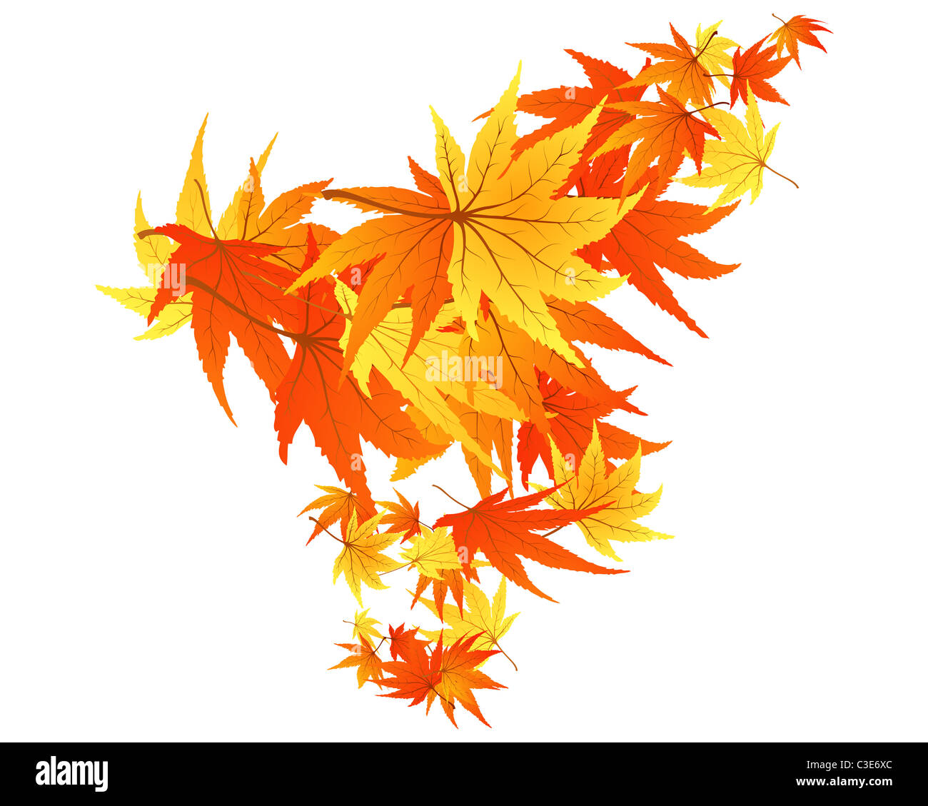 Frame of autumn maples leaves. Vector illustration Stock Photo - Alamy