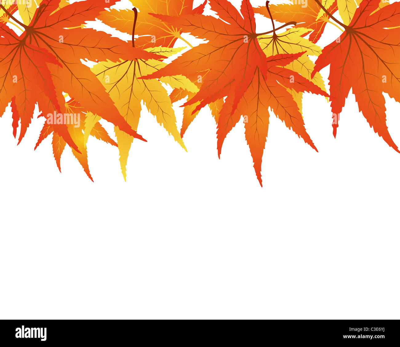 Frame of autumn maples leaves. Vector illustration Stock Photo - Alamy