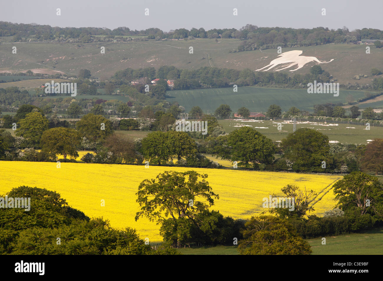 English landscape, Chilterns countryside, Buckinghamshire, 'Whipsnade Zoo' chalk lion in distance Stock Photo