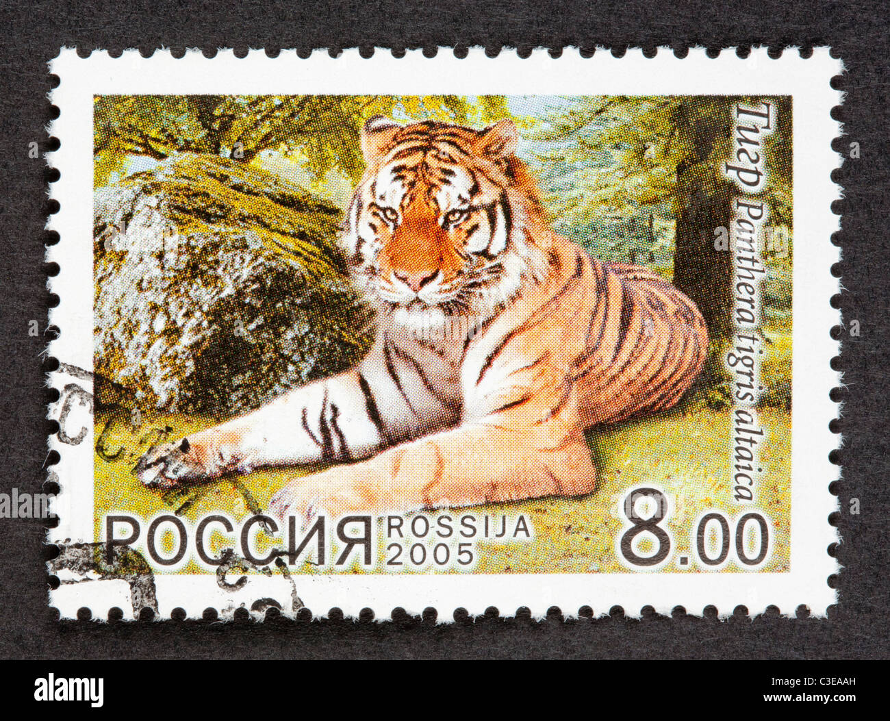 Russian postage stamp Stock Photo