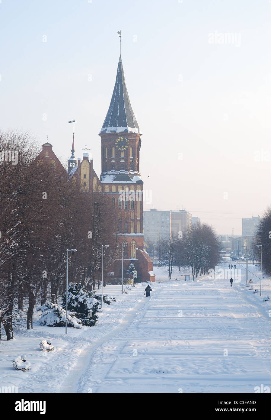 Kant's cathedral in Kaliningrad Stock Photo