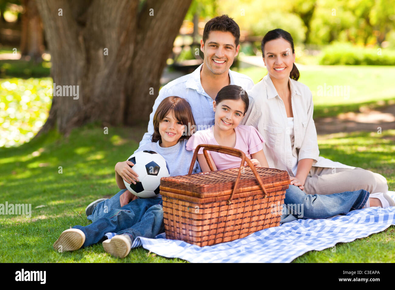 Happy family picnicking in the park Stock Photo - Alamy