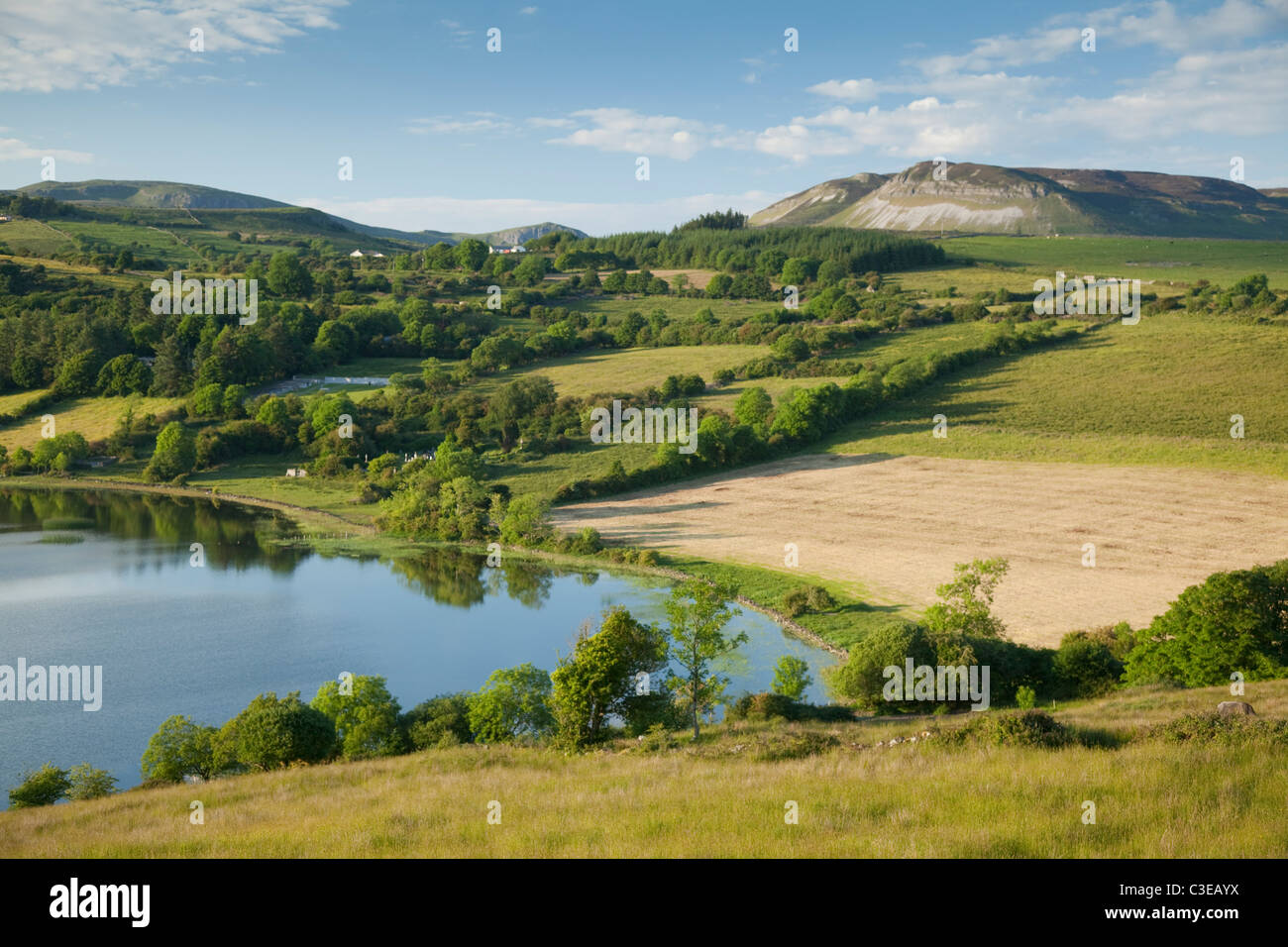 Summer fields surrounding Colgagh Lough, County Sligo, Ireland. Stock Photo