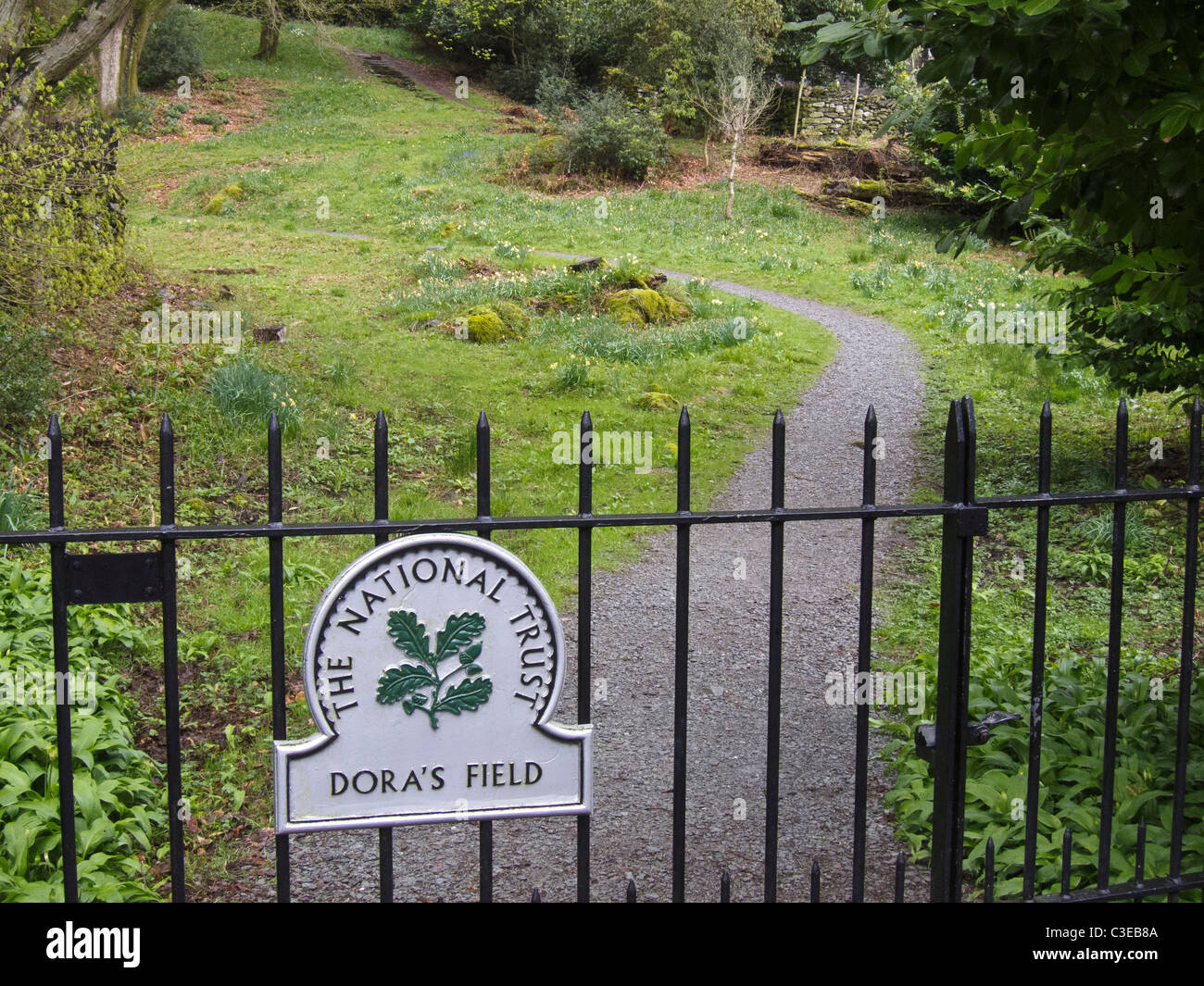 Dora's Field at Rydal Village, Lake District, Cumbria, UK Stock Photo