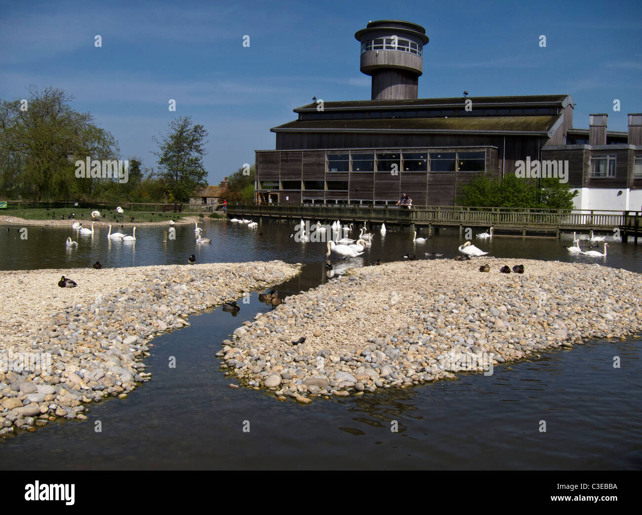 Slimbridge Wetlands Centre, Gloucestershire, England, UK. Stock Photo