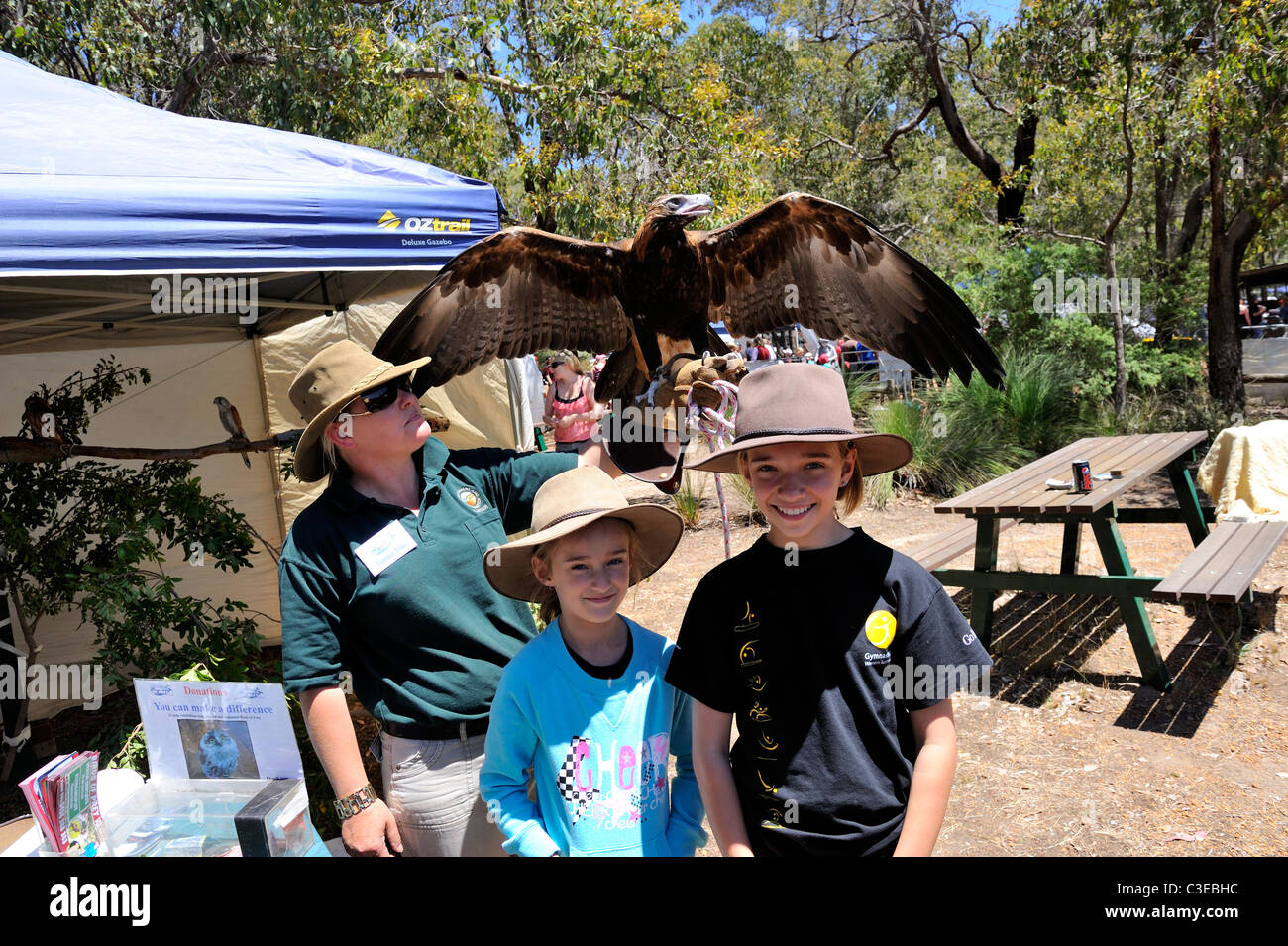 two children (9 years old, 12 years old) with a young Wedge-tailed Eagle (Aquila audax) spreading her wings. Western Australia Stock Photo