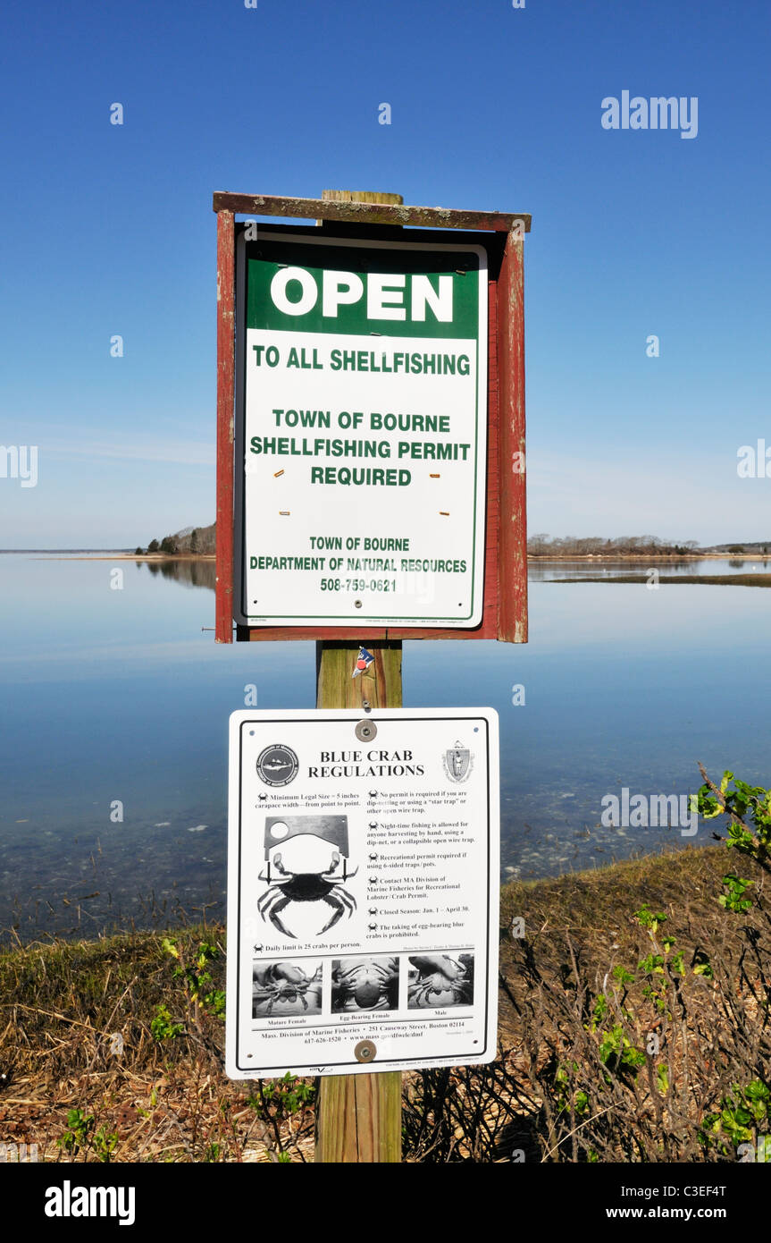 Close up of open to all shellfishing sign with regulations for blue crab posted at Little Bay ,Monks Park, Pocasset Cape Cod USA Stock Photo