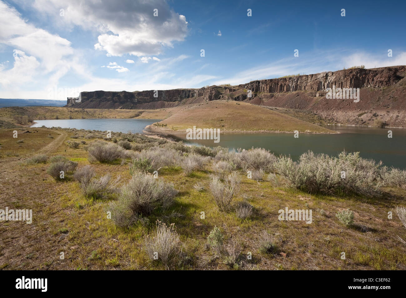 Ancient Lake - Quincy Wildlife Area, Grant County, Washington 