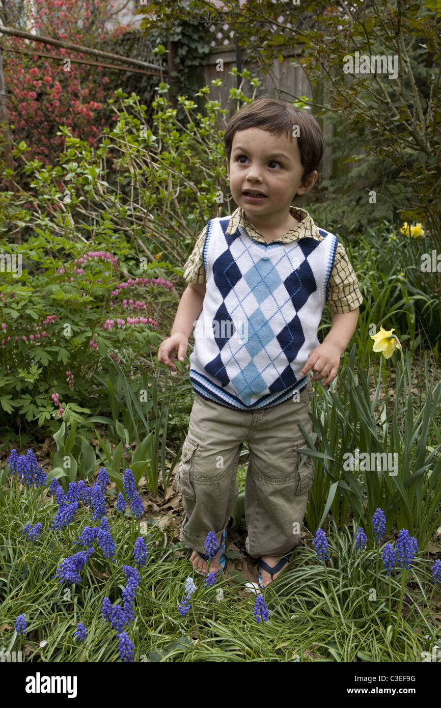 Two year old boy in the backyard in Brooklyn, NY. (Hispanic ?Polish mixture Stock Photo
