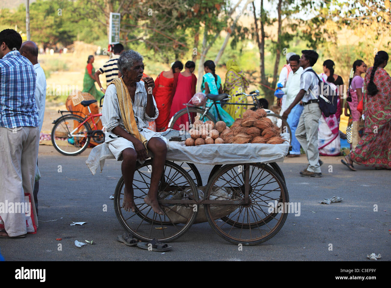 Man selling coconuts at the market in Andhra Pradesh South India Stock Photo