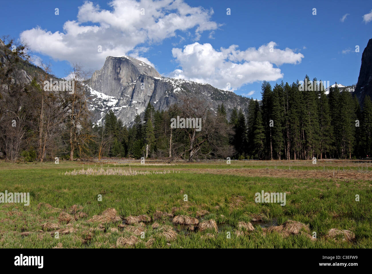 Half Dome in Yosemite National Park Stock Photo