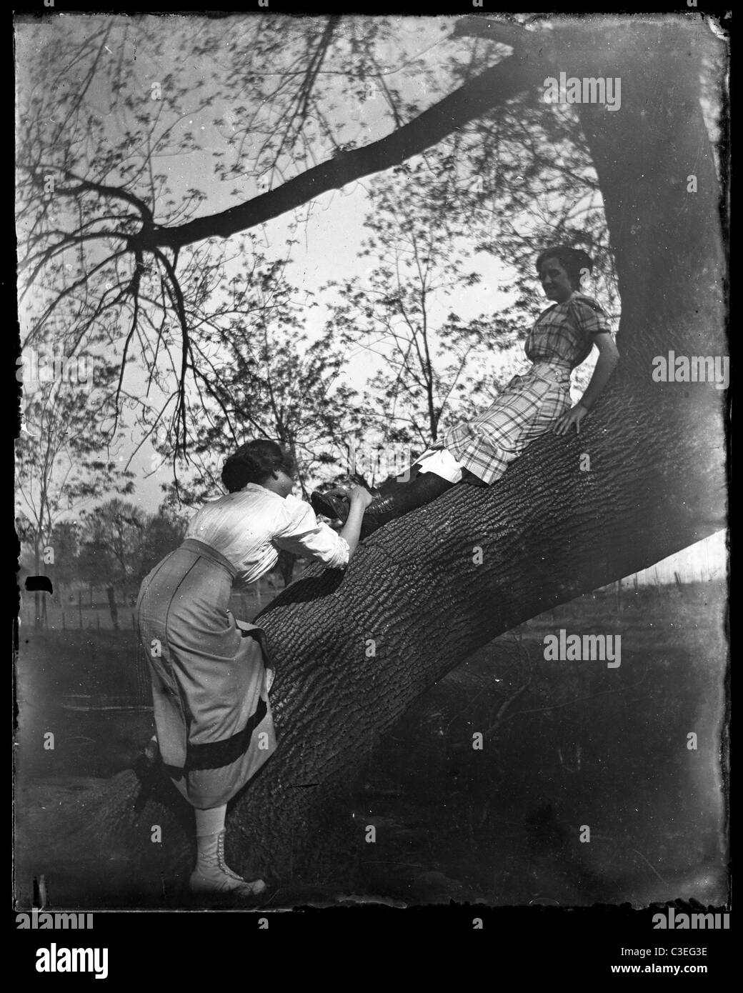 two womean playing on a tree victorian fashion women outdoors friends girlfriends 1890s Stock Photo