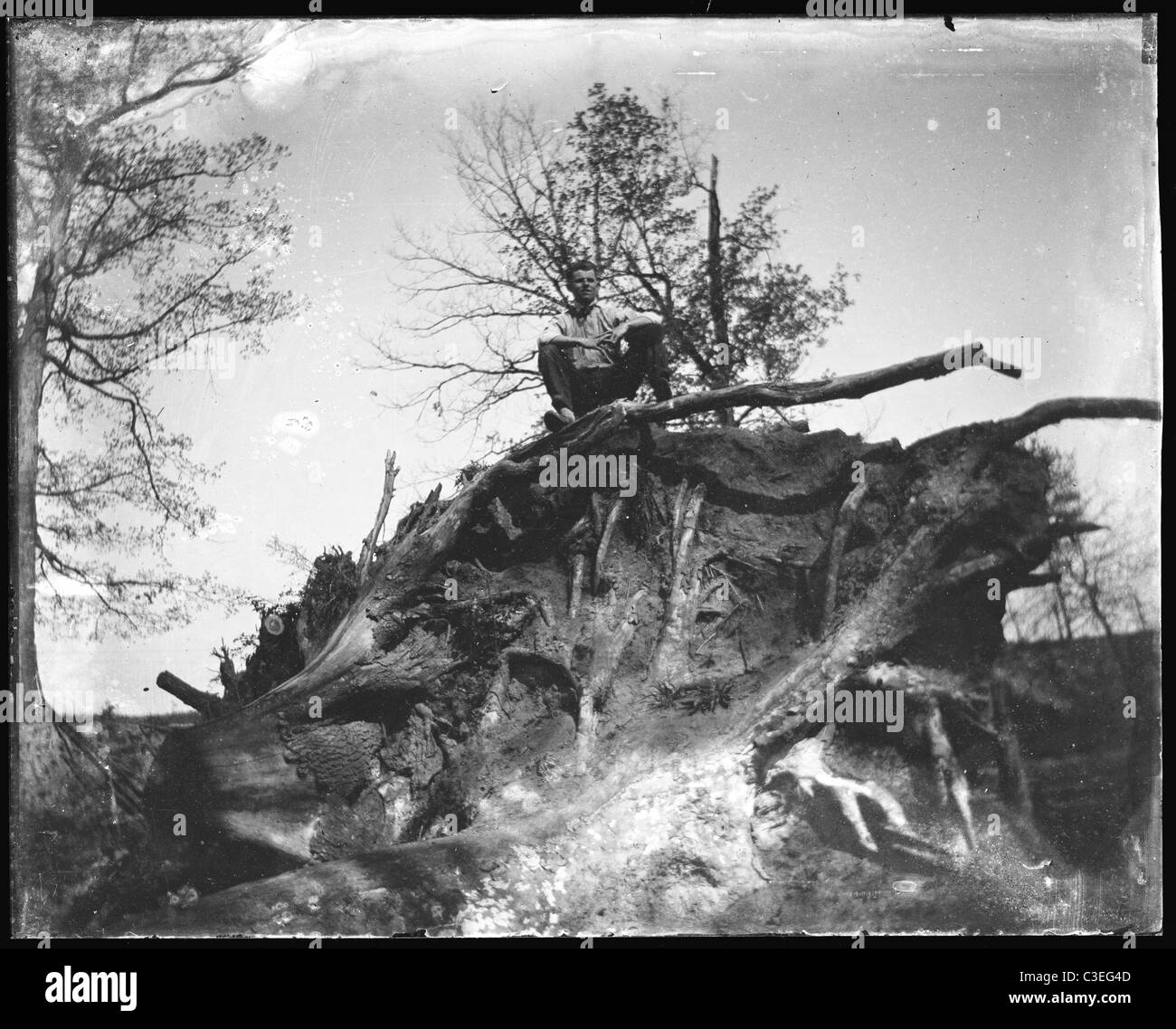 one man only sitting on tree stump fallen old growth 1890s Stock Photo