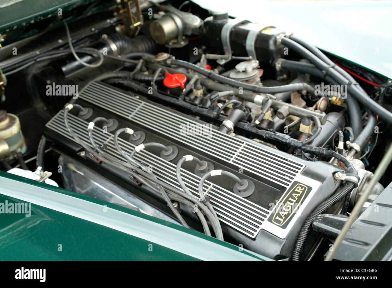 カスタムjaguar エイジド加工新着